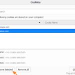 How to Clean Cookies from a Single Website. (Chrome, Firefox, IE)