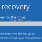 How to Disable Bitlocker in Windows Recovery Environment (WinRE).