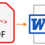 How to Convert PDF Document to Word for FREE
