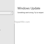 FIX: Windows Update Something went wrong. Try to reopen Settings later (Solved)