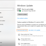 FIX: Windows 10 21H1 Installation Problems.