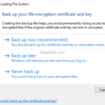How to remove "Back up your file encryption certificate and key" prompt in Windows 10.