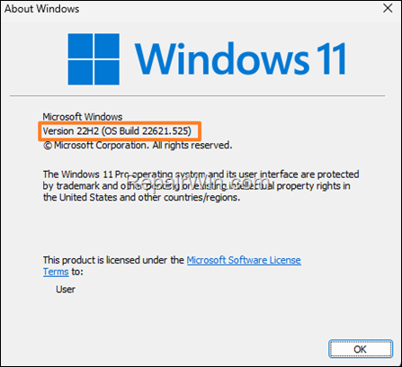 Upgrade Windows 11 21H2 to 22H2