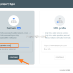 Verify Domain Ownership in Google Search Console via DNS Record using CPANEL [How to]