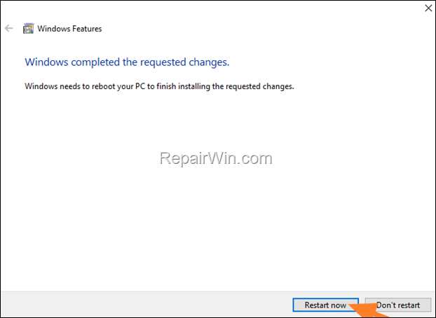 FIX: Internet Explorer not found on Windows 10/11