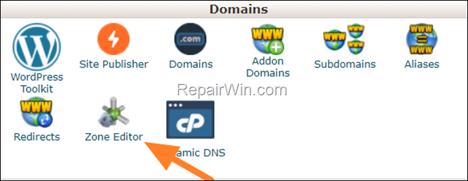 Add DNS Record cPanel
