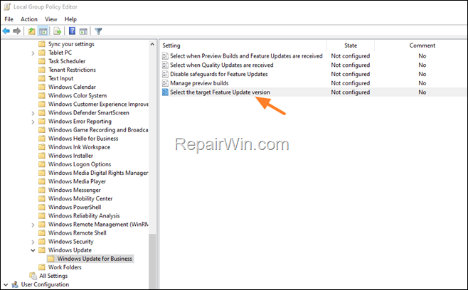 Prevent Upgrade to Windows 11