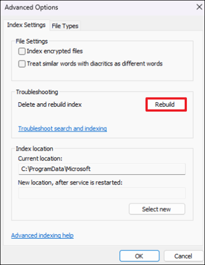 Rebuild Index - Windows 11